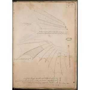 Biomimicry: Taking Inspiration from Nature - by  Leonardo Da Vinci & Andrea Bernardoni & Pascal Brioist (Hardcover) - 1 of 1