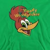 Woody Woodpecker Retro Logo Adult Pull-Over Hoodie - 2 of 4