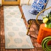 Beach House BHS181 POWER LOOMED Rug - Safavieh - 2 of 4