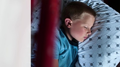 Twin Blue and White Cotton Percale Plaid Sheet Set