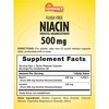 Sundance Vitamins Flush Free Niacin 500 mg - 50 Capsules - 2 of 4