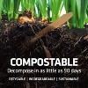 Amber Sports 5.5” Wooden Coffee Stirrers, 500 Count, Disposable, Compostable, Eco-Friendly, Organic, Biodegradable, Vegan-Friendly - 3 of 4