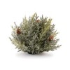 Icy Pine Half Orb with Pinecones (Set of 2) - 3 of 3