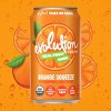 Evolution Fresh Orange Squeeze Real Fruit Soda - 12 fl oz - 2 of 4