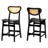 Baxton Studio Hesper Wood and Rattan 2pc Counter Height Barstool Set Dark Brown/Light Brown: 24" Fixed Seat, Rubberwood Frame - 2 of 4