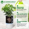 14.2" Tall Planters Set of 2, Self Watering Pots with Built-in Drainage and a Water Level Monitor - 3 of 4
