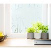Fablon Set of 2 Bamboo Window Film: Clear Vinyl Privacy Film with UV Protection, Botanical Pattern, 78.74" x 17.71" - 3 of 4