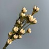 Alilang Decorative Dried Flower Stems for Home Decoration and Floral Arrangements, 15.5 Inches - 3 of 3