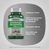 Piping Rock Echinacea Goldenseal Capsules | 1400mg | 120 Vegetarian Capsules - 4 of 4
