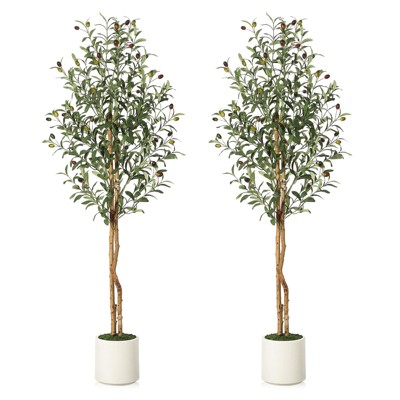 Artificial Olive Trees  - Realistic Faux Plants with Wood Trunks in White Planters for Living Room & Home Deco