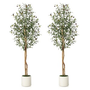 Artificial Olive Trees  - Realistic Faux Plants with Wood Trunks in White Planters for Living Room & Home Deco - 1 of 4