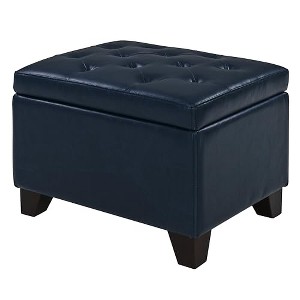 New Pacific Direct Julian Rectangular Bonded Leather Storage Ottoman - 1 of 4