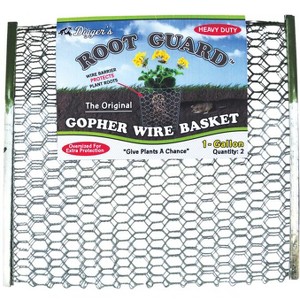 Digger's Root Guard 13.5 in. H X 13 in. W X 0.3 in. D Silver Coated Wire Gopher Wire Basket - 1 of 1