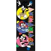 Animaniacs Warner Brothers and Dot Men's Black Sleep Pajama Pants - 2 of 4