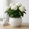Modern Ceramic Planter and Flower Pot for Home Decor - Indoor or Outdoor Use - Minimalist Design That Elevates Any Room, Patio, or Garden - 9" White - 2 of 4