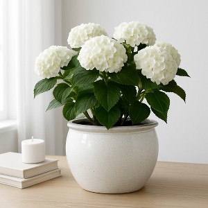 Modern Ceramic Planter and Flower Pot for Home Decor - Indoor or Outdoor Use - Minimalist Design That Elevates Any Room, Patio, or Garden - 9" White - 1 of 4