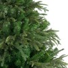 Northlight  7.5' Roosevelt Fir Artificial Christmas Tree - Unlit - 4 of 4