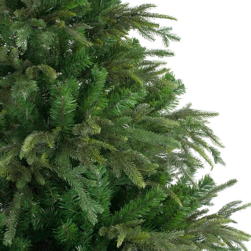 Northlight 6.5' Roosevelt Fir Artificial Christmas Tree - Unlit, 4 of 9