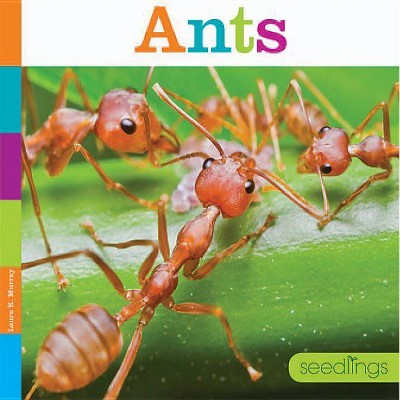 Ants - (Seedlings) by  Laura K Murray (Paperback)