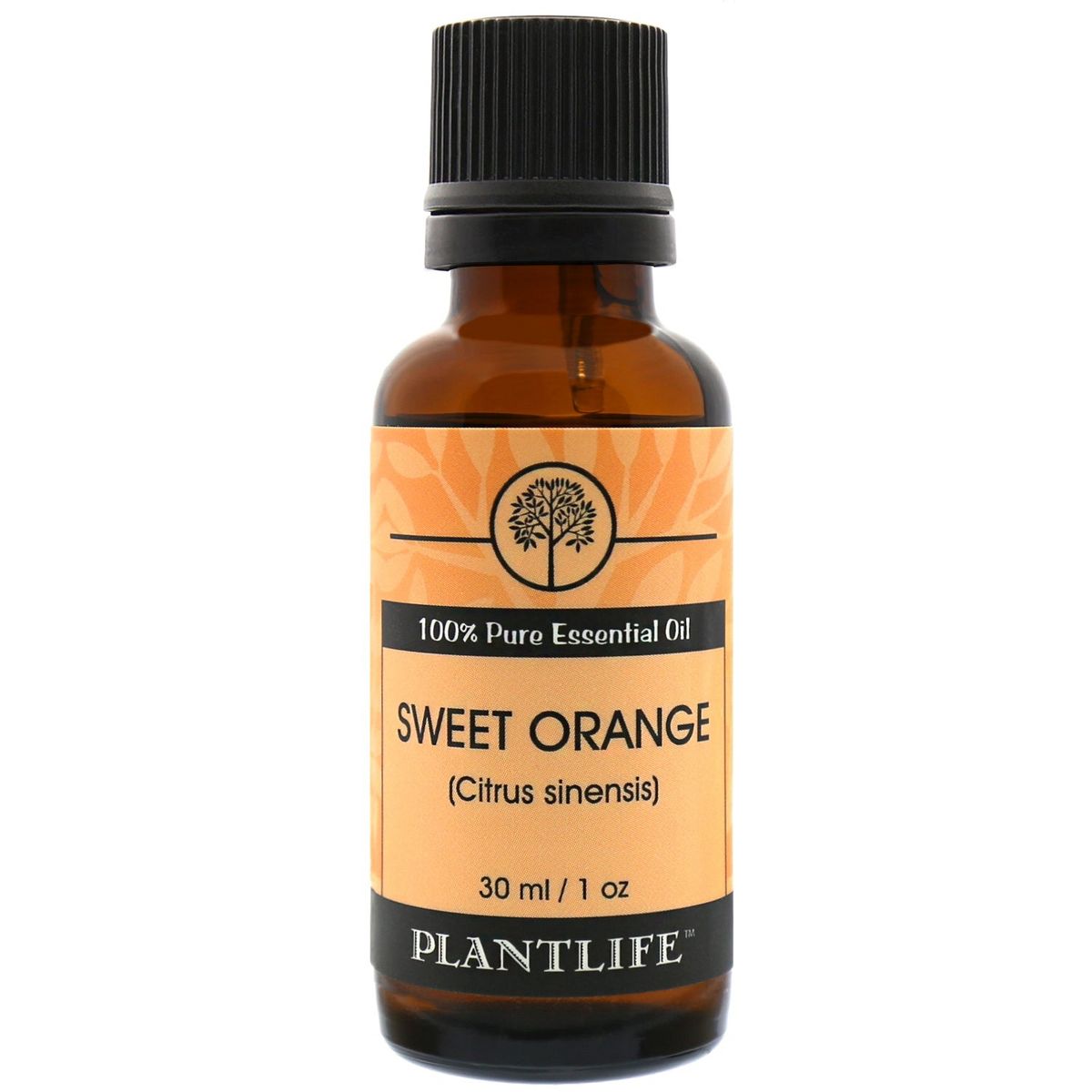 Plantlife Sweet Orange Essential Oil – 100% Pure, Undiluted & Cold Pressed – No Additives – Therapeutic Grade Aromatherapy - thumbnail 6