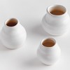 Plum & Post Tabitha Bud Vases Set of 3 - 2 of 4