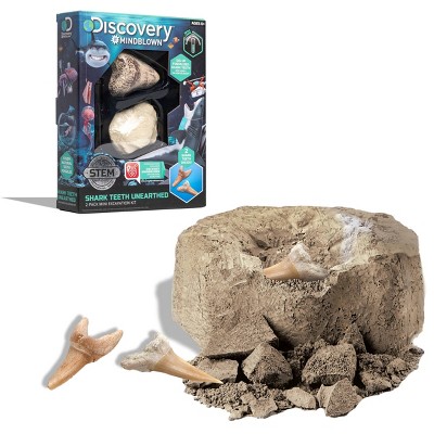 Discovery Kids Toy Excavation Science Kit Mini Shark Tooth 2pc