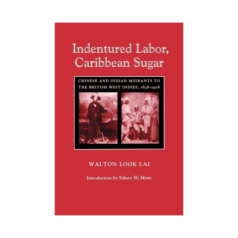 Indentured Labor, Caribbean Sugar - (Johns Hopkins Studies in Atlantic History & Culture) by  Walton Look Lai (Paperback), 1 of 2