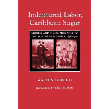 Indentured Labor, Caribbean Sugar - (Johns Hopkins Studies in Atlantic History & Culture) by  Walton Look Lai (Paperback)
