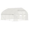 CAVINAS Walk-in Tunnel Greenhouse with Roll-up Windows and Zippered Door, PE Cover for Growing Flowers, Herbs, Green - 3 of 4