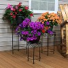 Sunnydaze Indoor/Outdoor Iron Metal Potted Flower Plant Stand with Scroll Design - 24" - Black - 3pc - 4 of 4