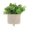 Sagebrook Home 2pc Footed Scratched Ceramic Indoor Outdoor Planter Pots Champagne: Rust-Resistant, No Tools Assembly - 3 of 4