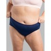 Fruit Of The Loom Women's Plus For Me  Fit 6 Pack Breathable Micro-Mesh Hipster Panty - Assorted - 3 of 4