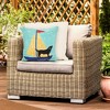 Liora Manne Frontporch Pet Indoor/Outdoor Pillow.. - 4 of 4