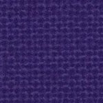 baltimore ravens