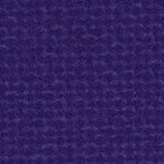 baltimore ravens