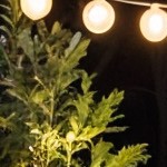 beige cushion/brown wicker