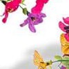 color mixing