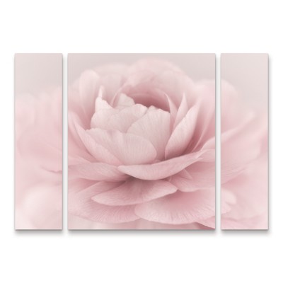 Trademark Fine Art-Cora Niele 'Stylisch Rose Pink' Multi Panel Art Set Large 3 Piece