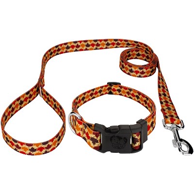 Country Brook Petz Deluxe Collar and Leash - Awesome Autumn Collection