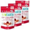 YumEarth Organic Favorite Fruit Hard Candies - 9.9oz - 3 of 3