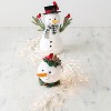 Sullivans Twig with Lights Garland 72"L White - 2 of 4
