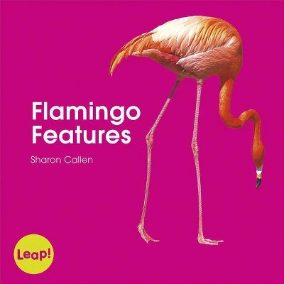 Flamingo Features - (Leap! Set B: Animals) by  Sharon Callen (Paperback)