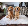 PAW BRANDS PupRug Faux Fur Orthopedic Luxury Dog Bed - 3 of 4