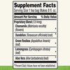 Celestial Seasonings, Wellness Tea, Sleepytime Detox, Caffeine Free, 20 Tea Bags, 1.2 oz (35 g) - 4 of 4