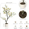 Faux Southern Magnolia Plant Yellow Flowered Magnolia, Artificial Magnolia Tree Inc. Realist Touch Flowers Vivid Leaves White Pot Dry Moss - 3 of 4
