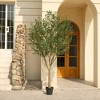 DR.Planzen 5-8FT Lush Artificial Olive Tree - UV Resistant Fake Plant with Black Fruits in 7x8" Black Pot for Indoor/Outdoor House & Floor Decor - 2 of 4