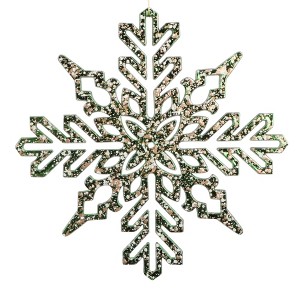 Vickerman 9" Shiny Snowflake Ornament 2/Bag - 1 of 1