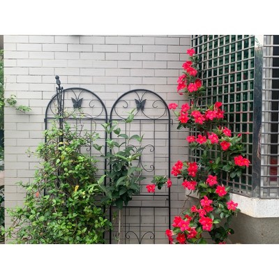 Vynxaria Metal Garden Trellis, 2 Pack Metal Trellis for Climbing Plants, Indoor/Outdoor Plant Trellis for Potted Plants, House Plants