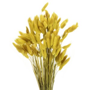 Unique Bargains Decorative Natural Dried Floral Bunny Tail Artificial Plants 120 Pcs - 1 of 4