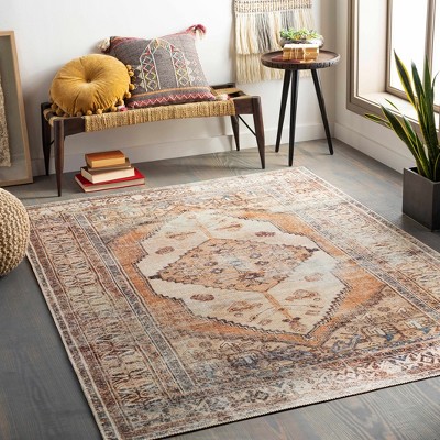 Arncliffe Tan and Light Gray Washable Polyester Runner Rug